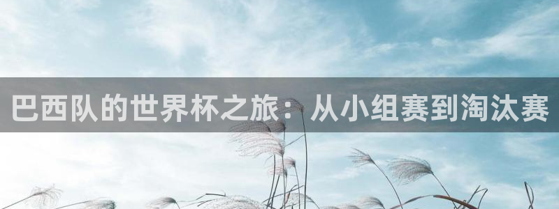 2026 世界杯:巴西队的世界杯之旅:从小组赛到淘汰赛