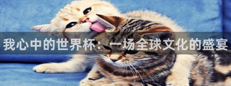 世界杯直播网:我心中的世界杯:一场全球文化的盛宴