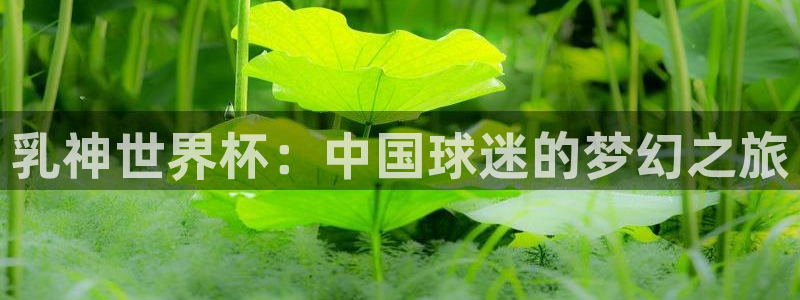 男足世界杯预选赛赛程:乳神世界杯:中国球迷的梦幻之旅